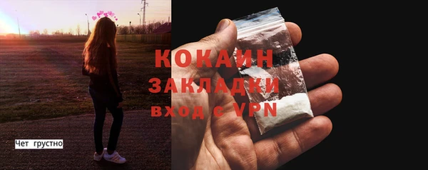 крисы Абаза