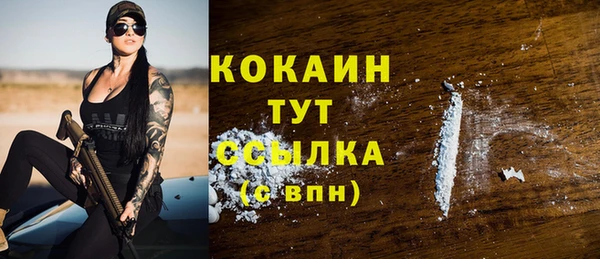 крисы Абаза