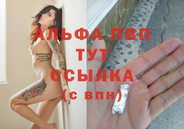 крисы Абаза