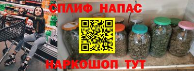 шишки Новокубанск
