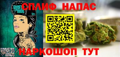 шишки Новокубанск
