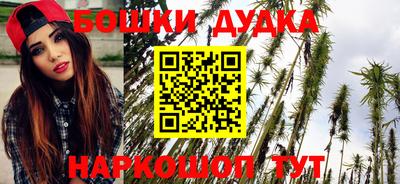 шишки Новокубанск