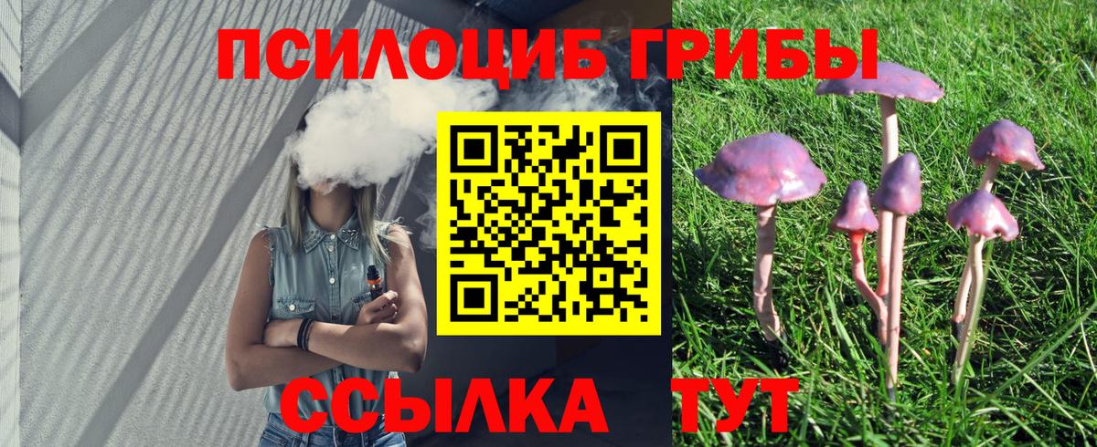 Псилоцибиновые грибы прущие грибы  Псилоцибиновые грибы Psilocybe  Аксай  Вход с VPN 